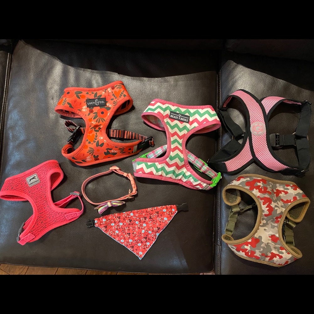 Dog clothing, accessories and harnesses